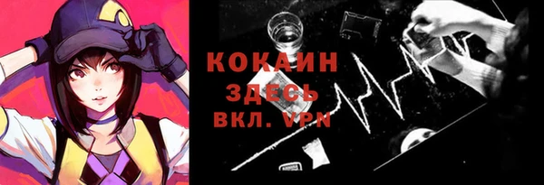 твердый Алексин