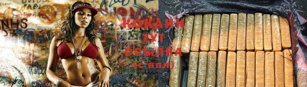 PSILOCYBIN Покров